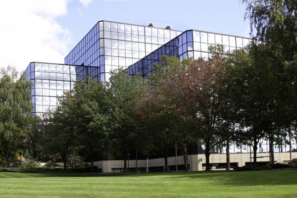 Commercial Tree Trimming in Lexington