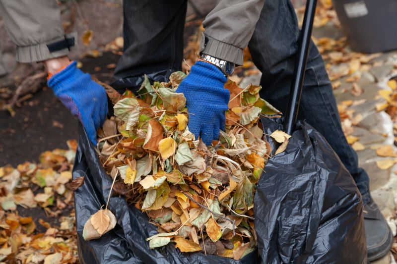 Leaf Collection and Disposal