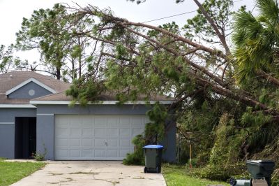 Storm-Damaged Tree on Roof